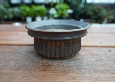 保田修作  pot No.14