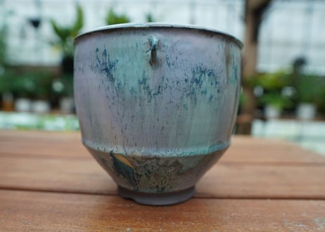 神田知広pot No.22