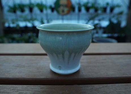 持木祐一 pot  No.41