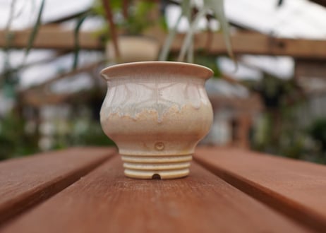 持木祐一pot NO.12