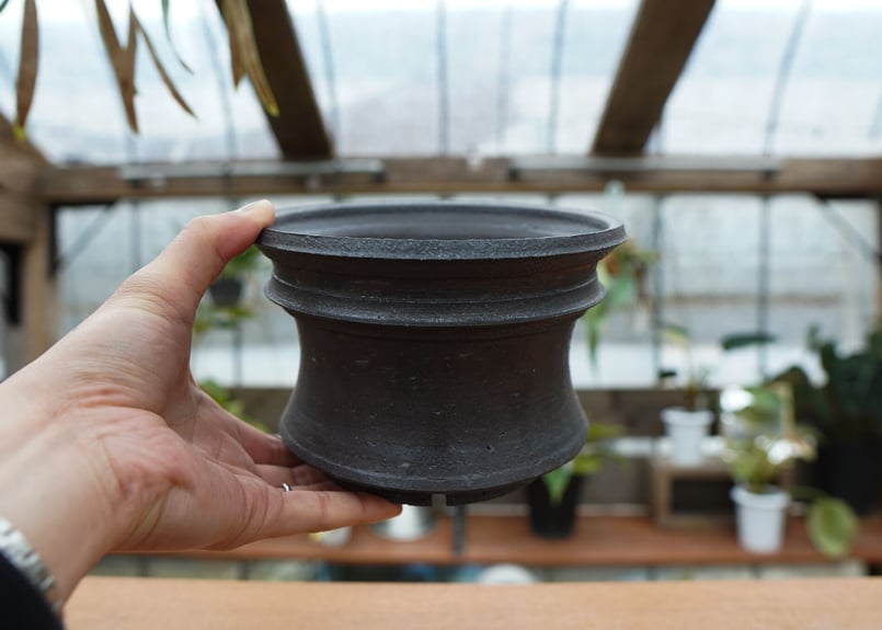 保田修作 pot No.35 | mana's farm:塊根植物・アガベ・ドライガーデン植