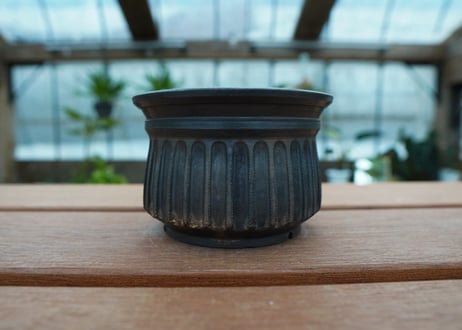 保田修作  pot No.66