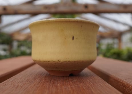關まどか pot NO.26-3 F