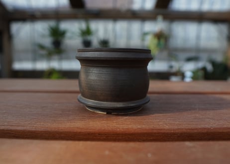 保田修作  pot No.10