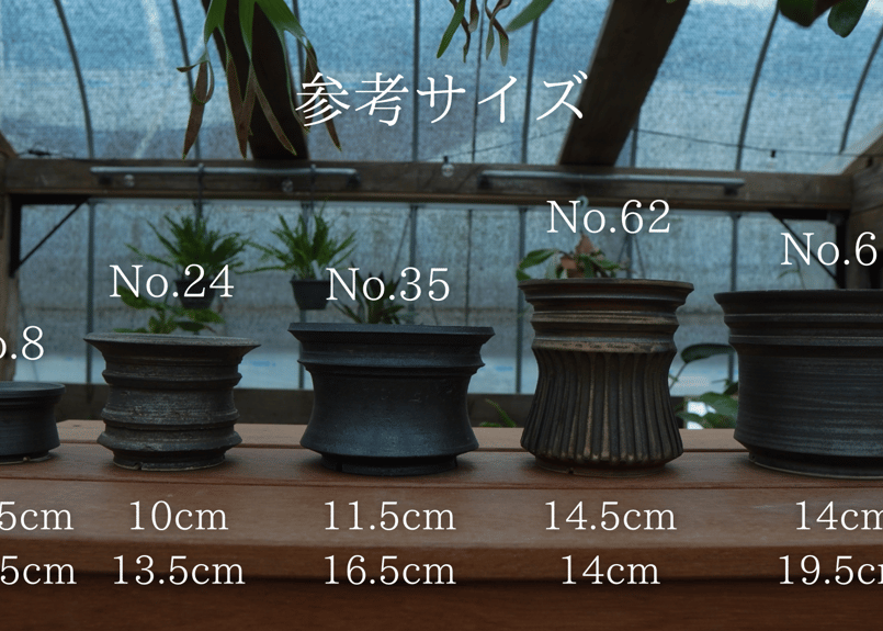 保田修作 pot No.2 | mana's farm:塊根植物・アガベ・ドライガーデン