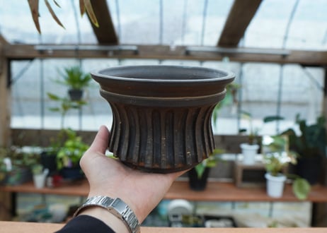 保田修作  pot No.72