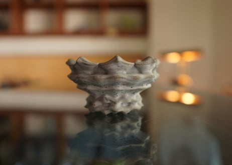 十十 草冠 pot  No.2