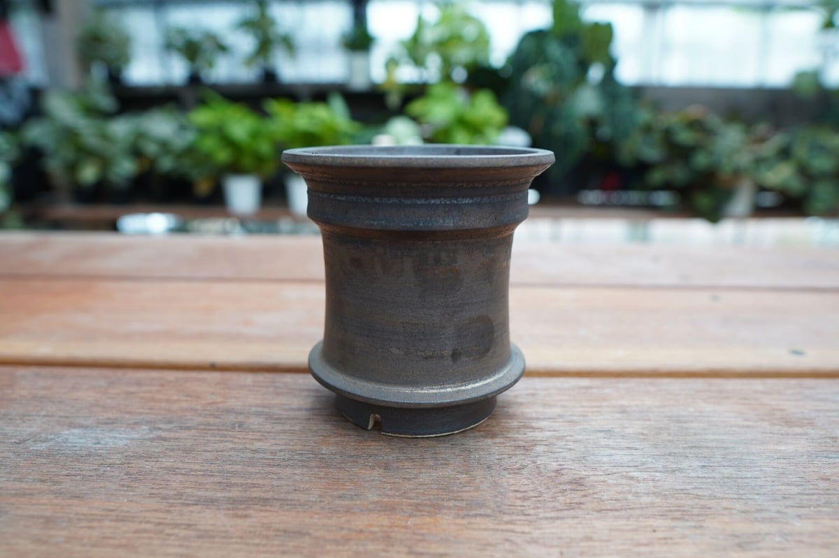 保田修作 pot No.1 | mana's farm:塊根植物・アガベ・ドライガーデン