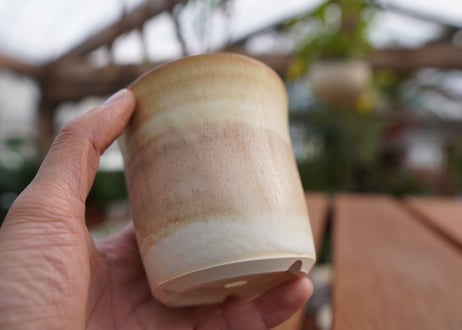 關まどか pot NO.6-4　F