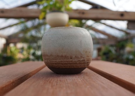 關まどか pot NO.9-3 F