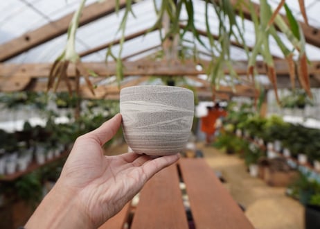 關まどか pot NO.22-3 F