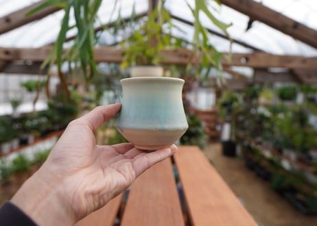 關まどか pot NO.5-12
