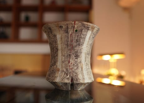 沼野秀章 pot No.22