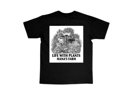 CATEGORY コラボ商品 | mana's farm:塊根植物・アガベ・ドライガーデン