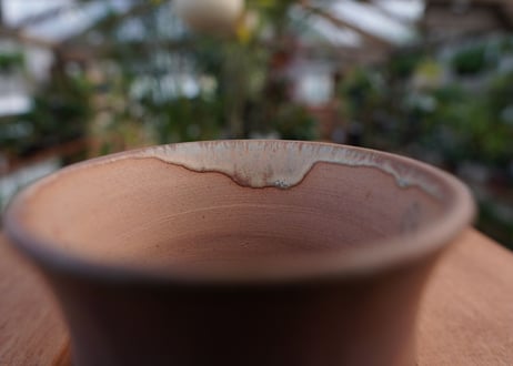 關まどか pot NO.10-5　Ｇ