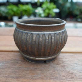 保田修作氏の鉢が再入荷しました。 | mana's farm:塊根植物・アガベ