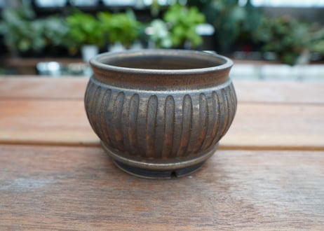 保田修作  pot No.27