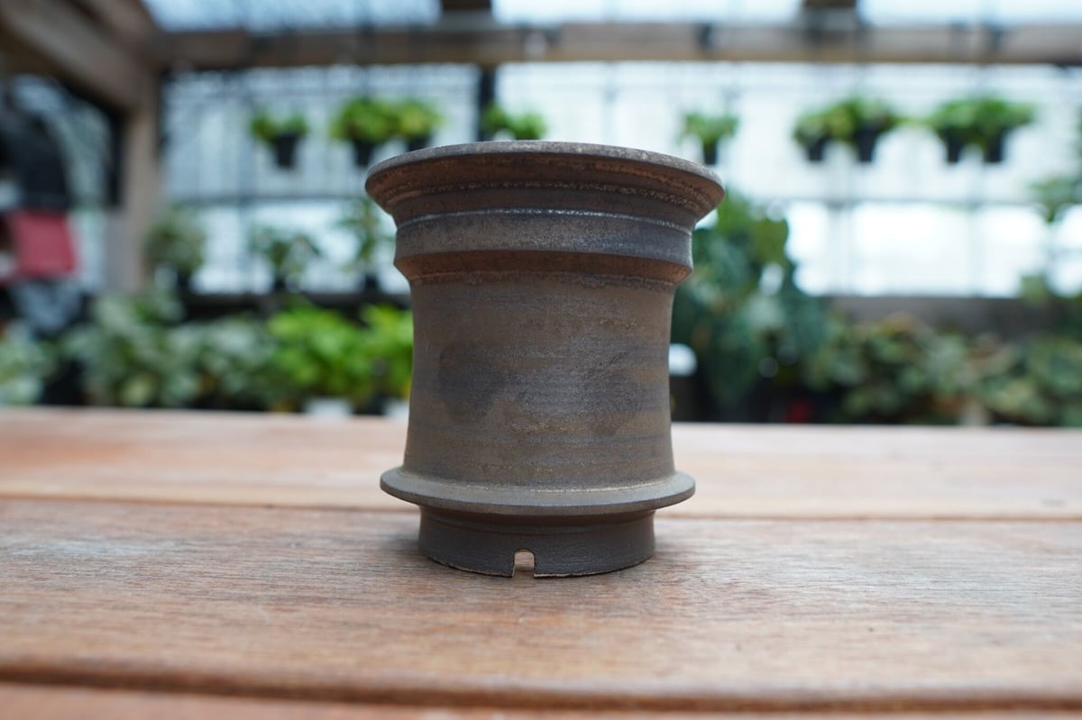 保田修作 pot No.1 | mana's farm:塊根植物・アガベ・ドライガーデン