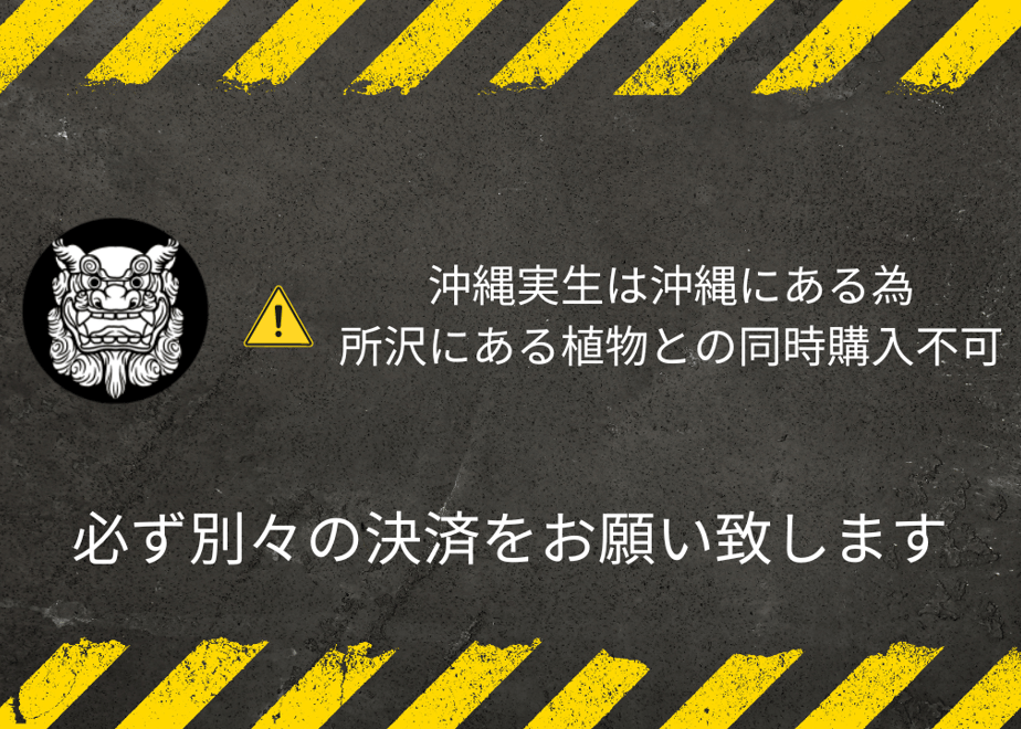 65ae1553f0a6af003575a6c8