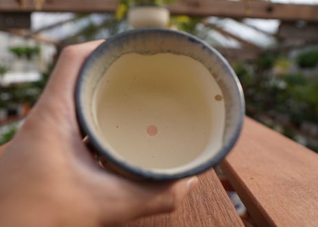 關まどか pot NO.7-4　F