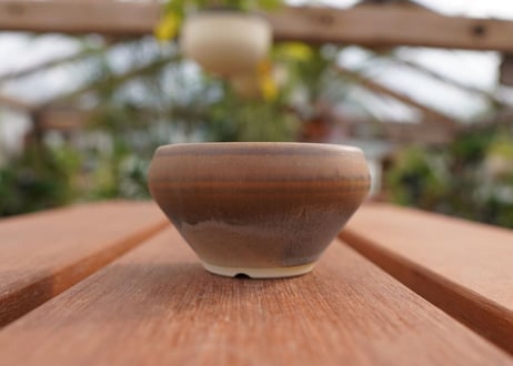 關まどか pot NO.4-2　Ｇ