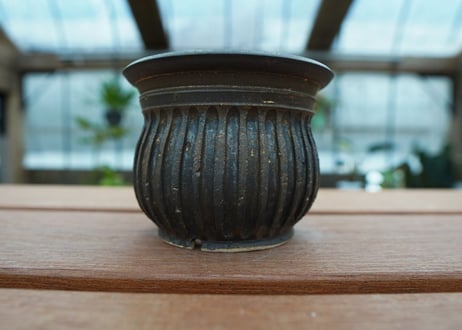 保田修作  pot No.52