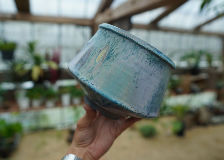 64e81cfbef91a7003949d515