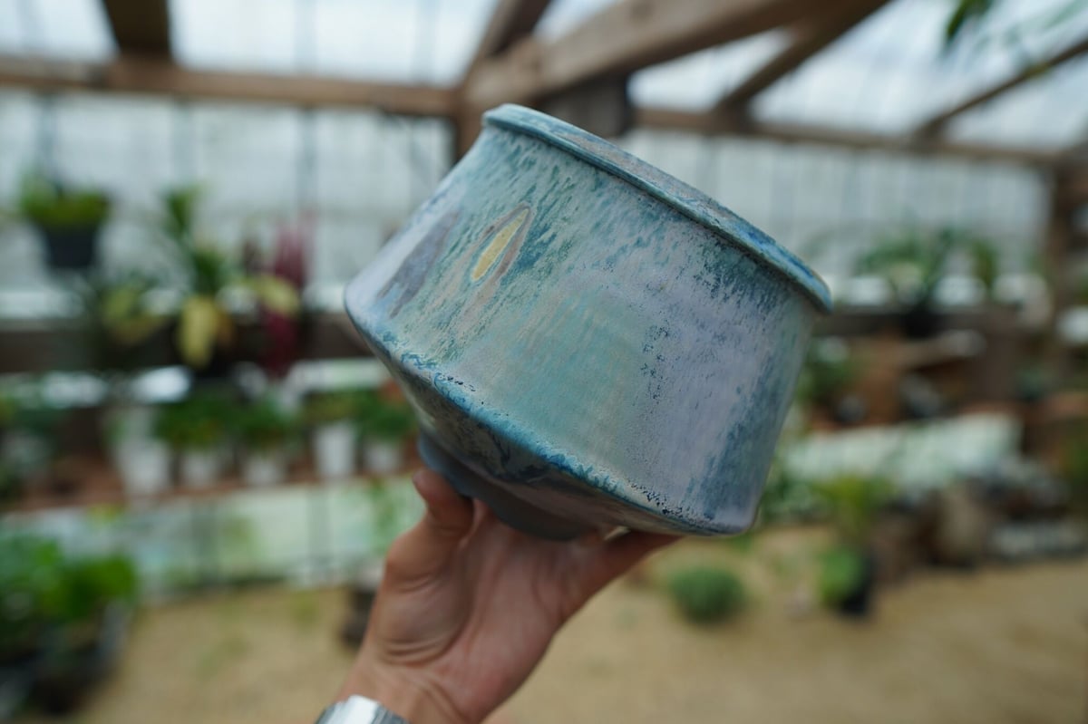 神田知広pot No.21 | mana's farm:塊根植物・アガベ・ドライガーデン