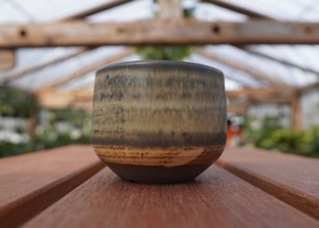 關まどか pot NO.14-3 F