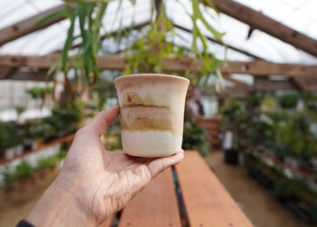關まどか pot NO.6-10