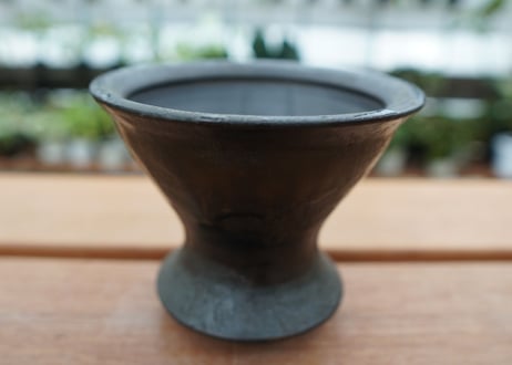 沼野秀章 pot No.1