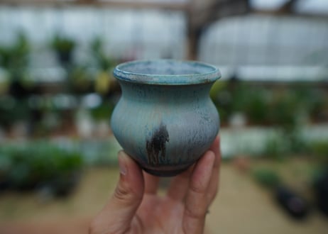 神田知広pot No.1