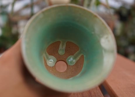持木祐一pot NO.20
