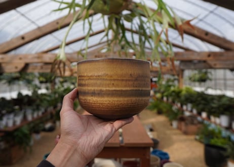 關まどか pot NO.21-5　F
