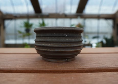 保田修作  pot No.26