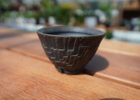 沼野秀章 pot No.7