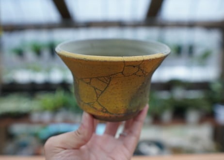 hechicami pot NO.18