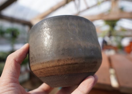 關まどか pot NO.16-1 F