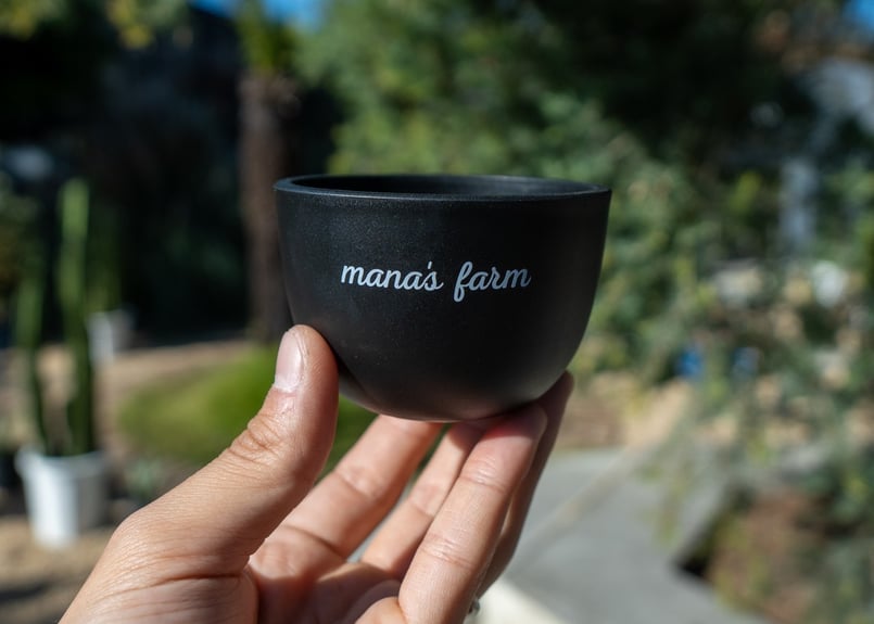 mana's farm original pot | mana's farm:塊根植物・アガベ