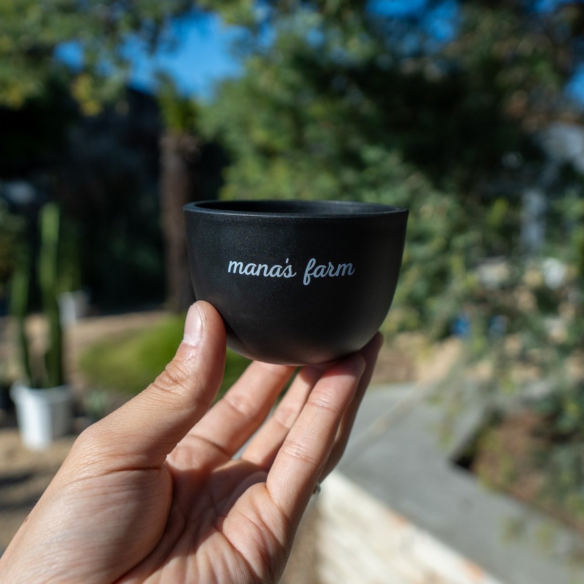 mana's farm original pot | mana's farm:塊根植物・アガベ