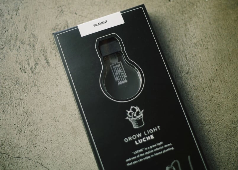 亀甲竜 ”塊根植物スターターセット” NO.2 | mana's farm:塊根植物