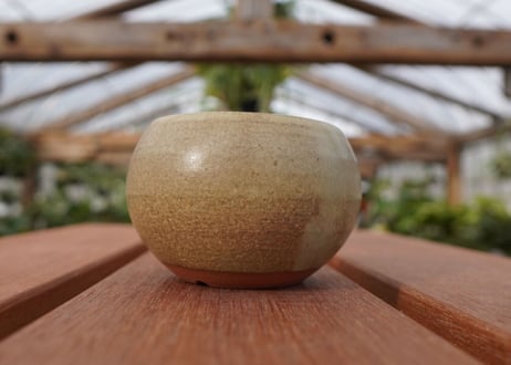 關まどか pot NO.26-1　Ｇ