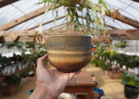 關まどか pot NO.21-2　Ｇ