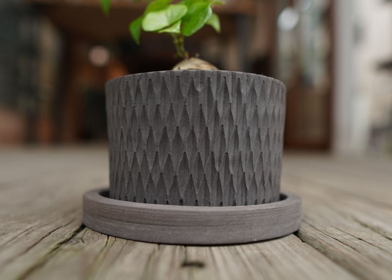 亀甲竜 ”塊根植物スターターセット” NO.3 | mana's farm:塊根植物