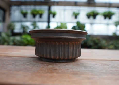 保田修作  pot No.14