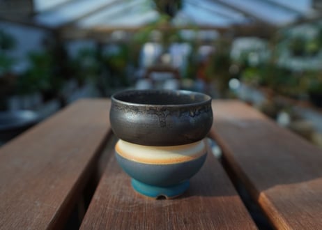 持木祐一 pot  No.12