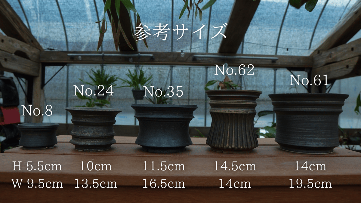 保田修作 pot No.54 | mana's farm:塊根植物・アガベ・ドライガーデン植