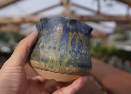 關まどか pot NO.12-2 F