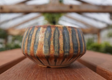 關まどか pot NO.23-1 F