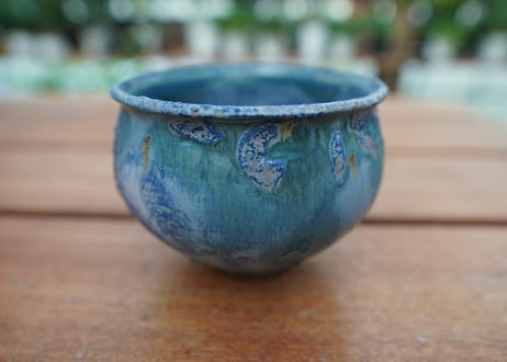 神田知広pot No.12